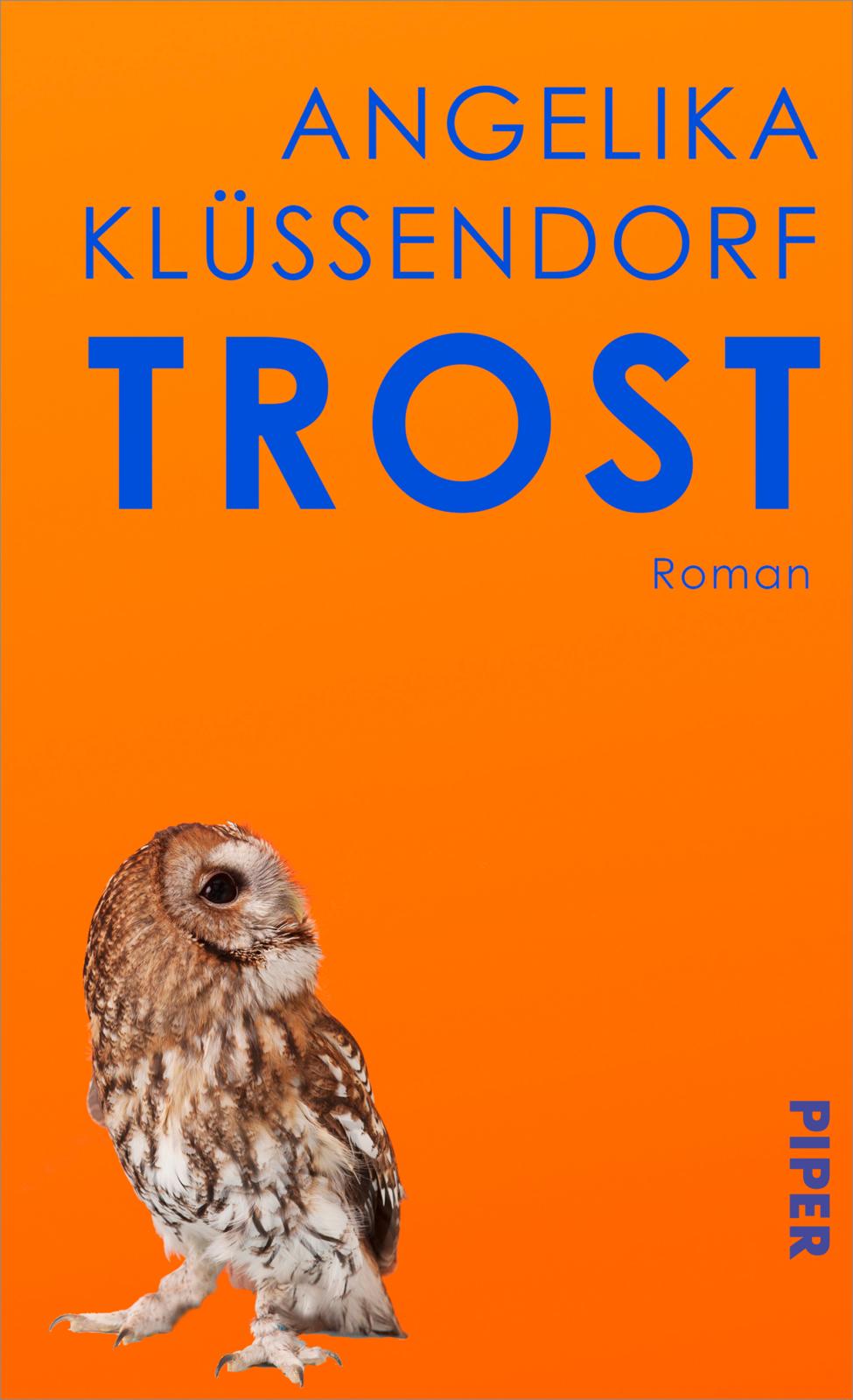 trost-isbn-978-3-492-07267-0 Cover Roman: „Trost“ von Angelika Klüssendorf