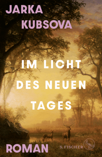 Cover im Licht des neuen Tages von Jarka Kubsova